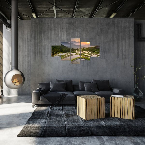 Obraz - Rýžové terasy (125x70 cm)