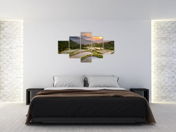 Obraz - Rýžové terasy (125x70 cm)