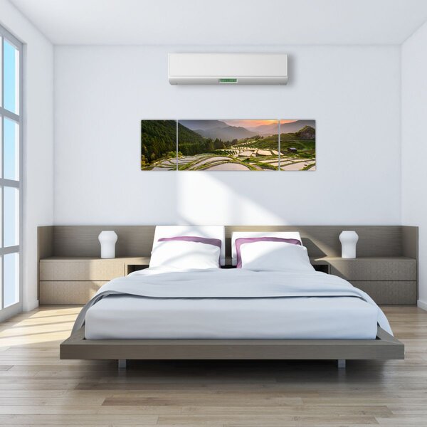 Obraz - Rýžové terasy (170x50 cm)