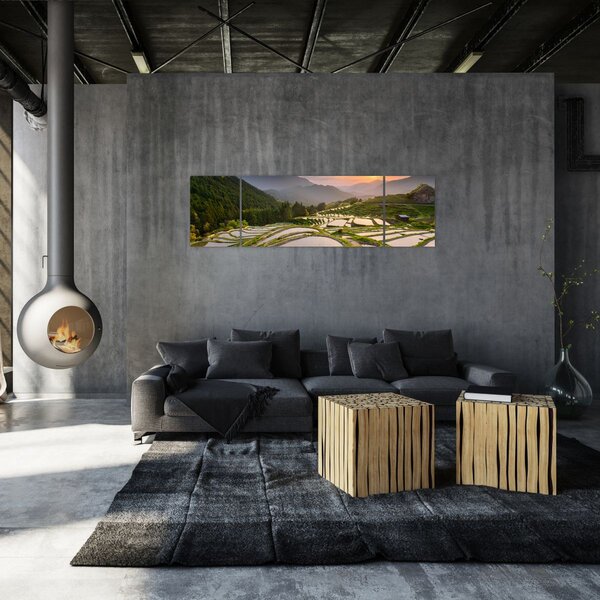Obraz - Rýžové terasy (170x50 cm)