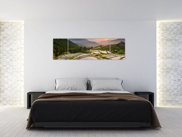 Obraz - Rýžové terasy (170x50 cm)