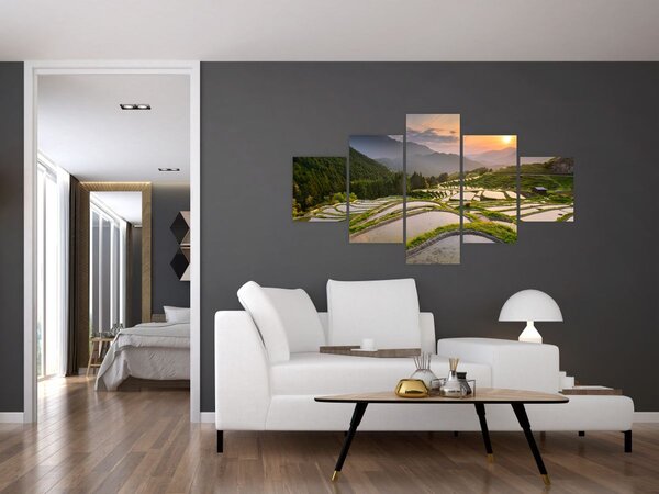 Obraz - Rýžové terasy (125x70 cm)