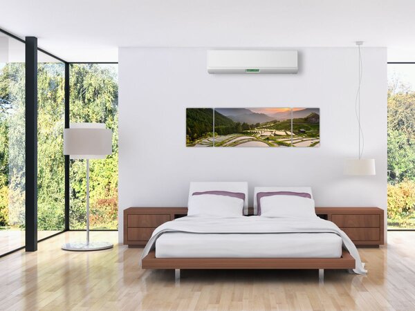 Obraz - Rýžové terasy (170x50 cm)