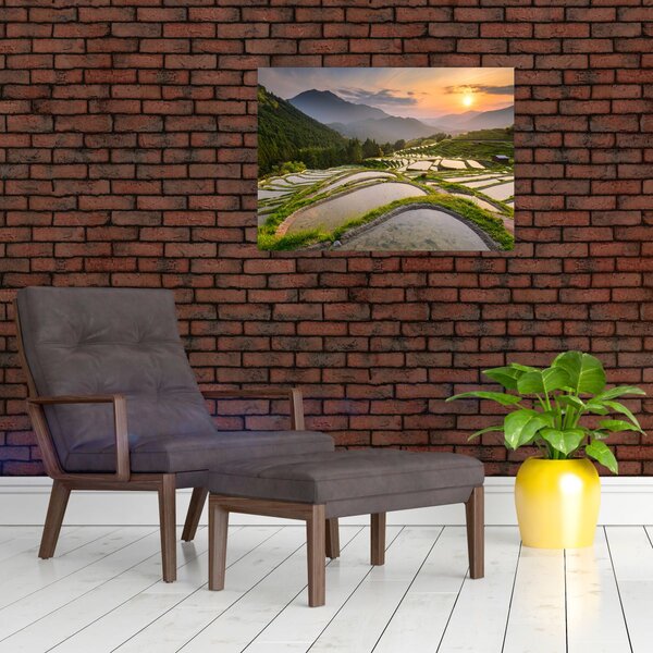 Obraz - Rýžové terasy (70x50 cm)