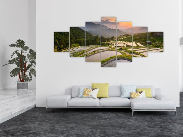 Obraz - Rýžové terasy (210x100 cm)