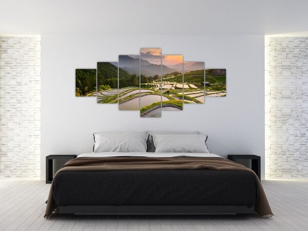 Obraz - Rýžové terasy (210x100 cm)