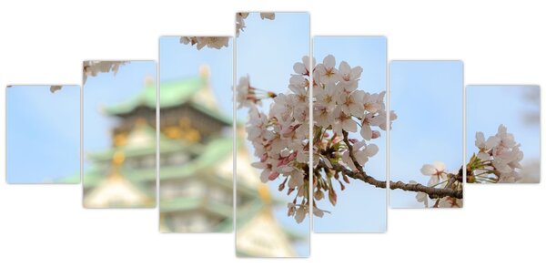 Obraz - Sakura (210x100 cm)