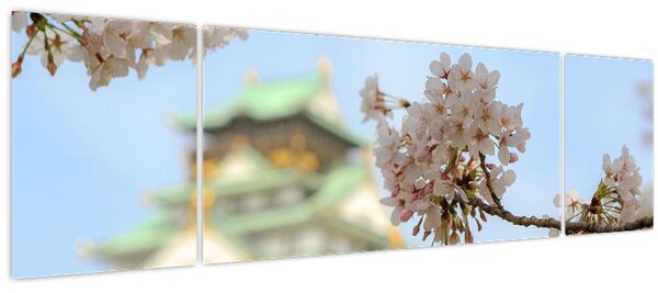 Obraz - Sakura (170x50 cm)
