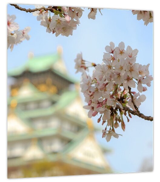 Obraz - Sakura (30x30 cm)