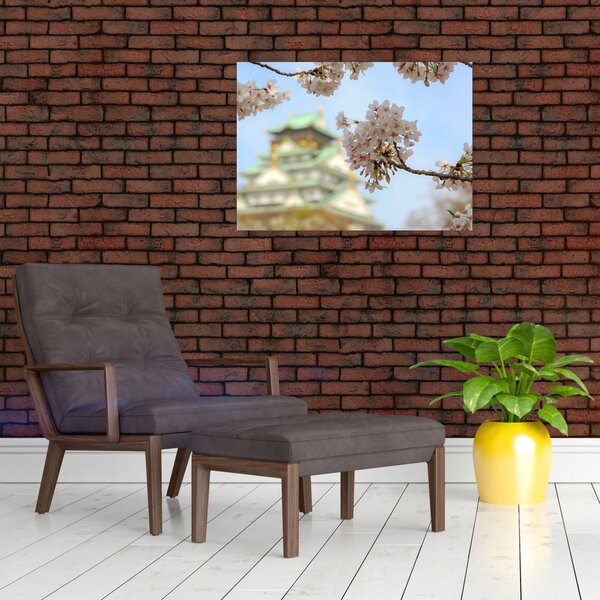 Obraz - Sakura (70x50 cm)