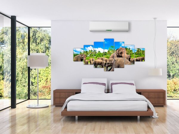 Obraz - Sloni, Sri Lanka (210x100 cm)