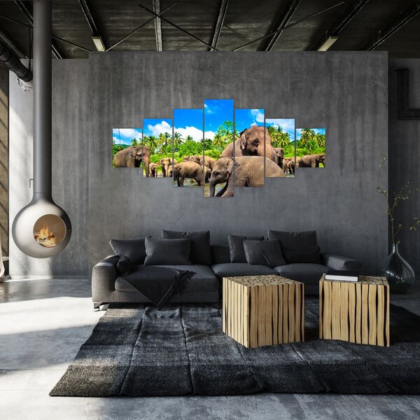 Obraz - Sloni, Sri Lanka (210x100 cm)