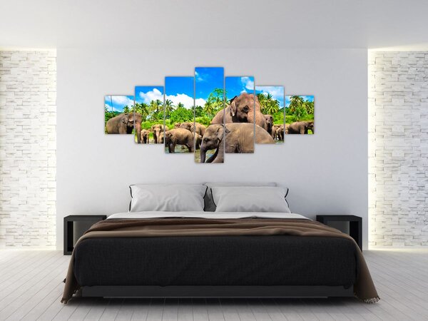 Obraz - Sloni, Sri Lanka (210x100 cm)