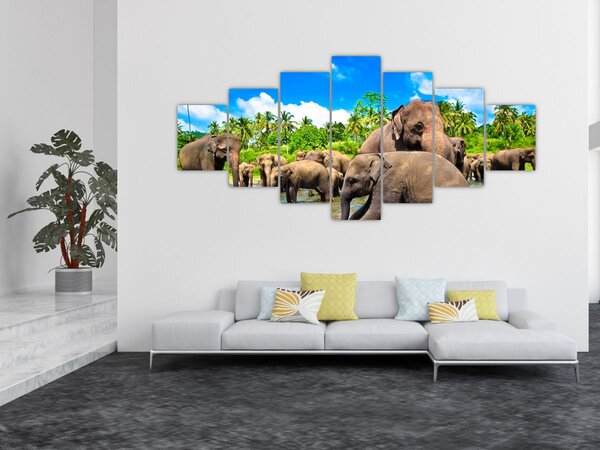 Obraz - Sloni, Sri Lanka (210x100 cm)