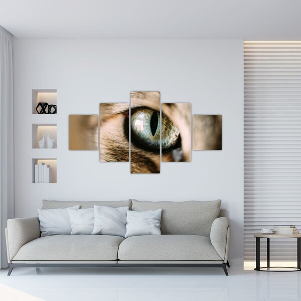 Obraz - Kočičí oko (125x70 cm)