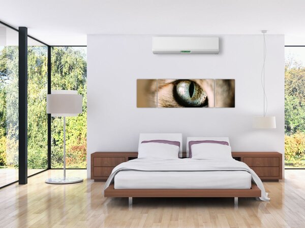 Obraz - Kočičí oko (170x50 cm)