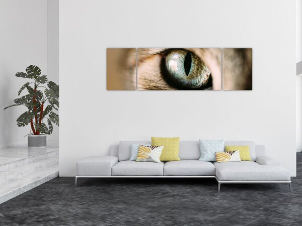 Obraz - Kočičí oko (170x50 cm)