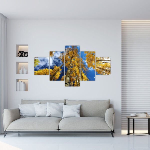 Obraz - Aspen (125x70 cm)