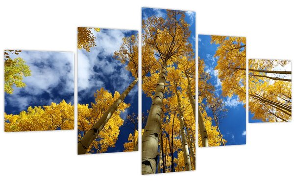 Obraz - Aspen (125x70 cm)