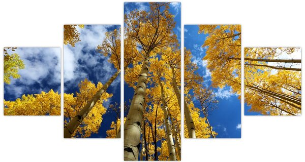 Obraz - Aspen (125x70 cm)