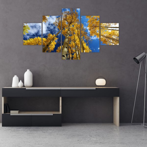 Obraz - Aspen (125x70 cm)