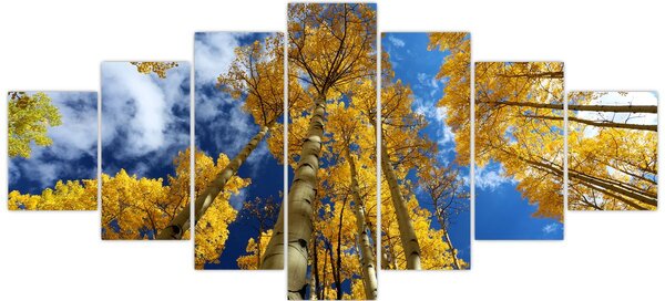 Obraz - Aspen (210x100 cm)