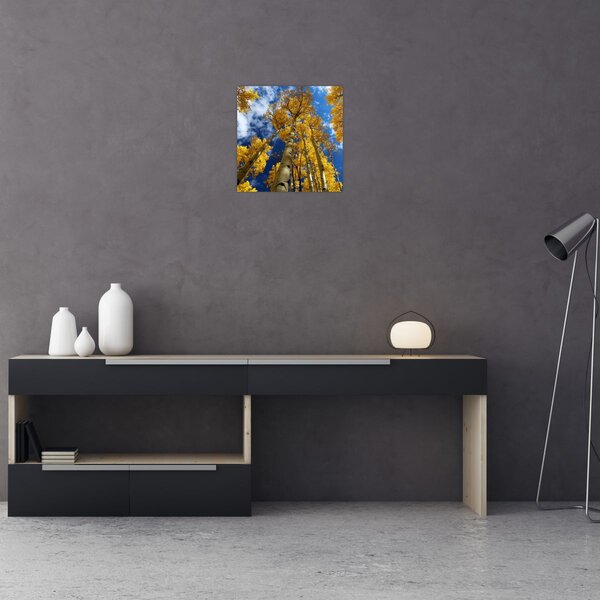 Obraz - Aspen (30x30 cm)