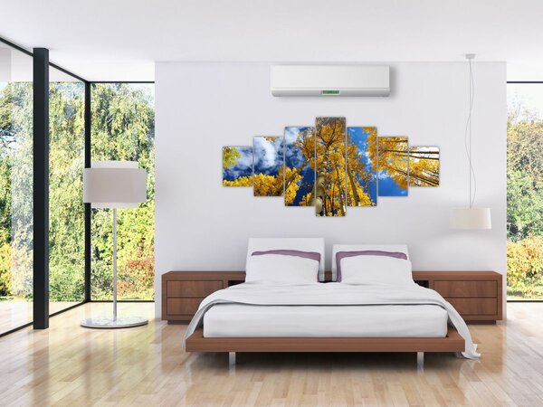 Obraz - Aspen (210x100 cm)