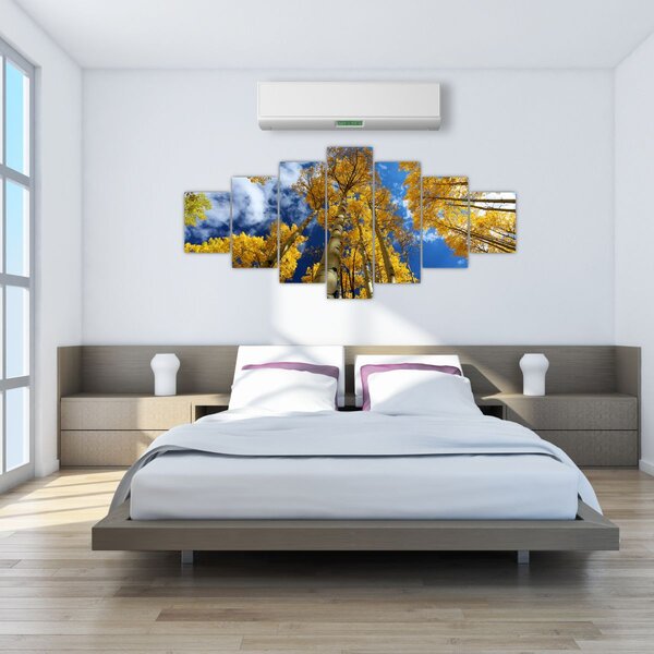 Obraz - Aspen (210x100 cm)