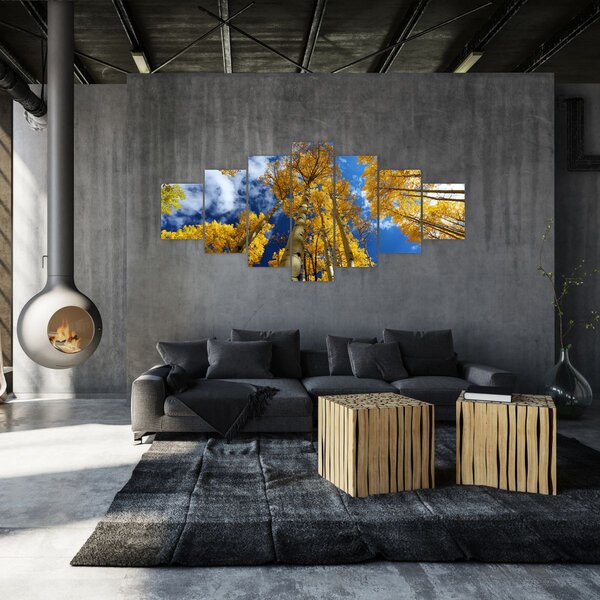 Obraz - Aspen (210x100 cm)