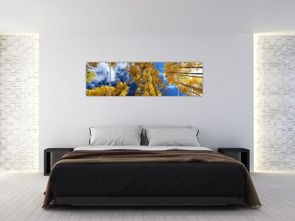 Obraz - Aspen (170x50 cm)
