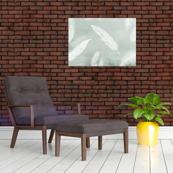 Obraz - Bílé peříčka (70x50 cm)
