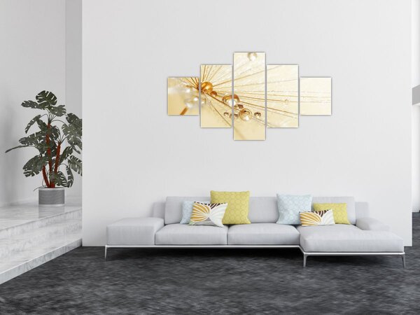 Obraz - Makro fotografie pampelišky (125x70 cm)