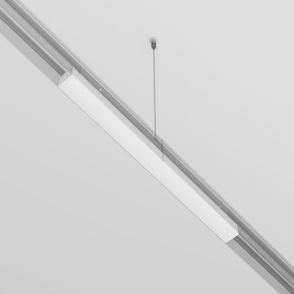 MAYTONI Napájení pro kolejnicový systém Exility bílá TRX034DR4-200W-1