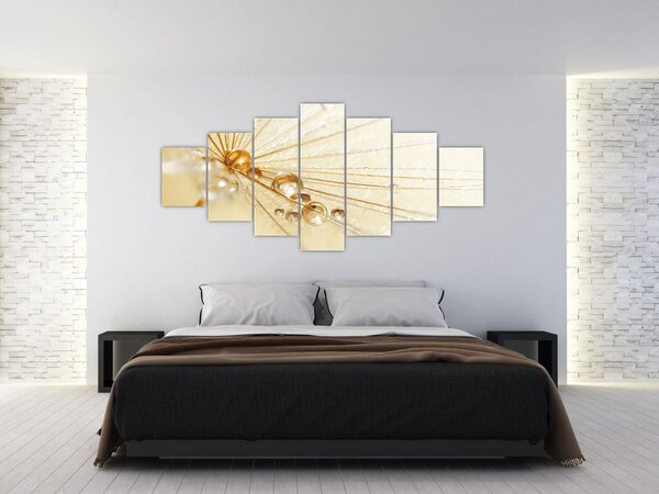 Obraz - Makro fotografie pampelišky (210x100 cm)