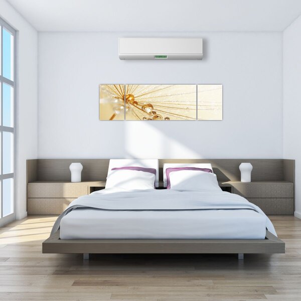 Obraz - Makro fotografie pampelišky (170x50 cm)