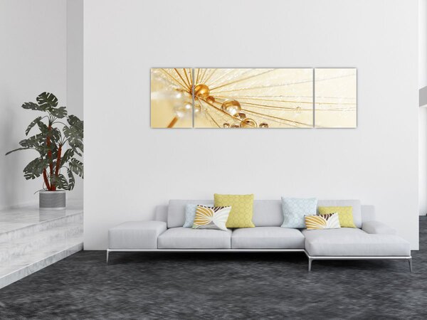 Obraz - Makro fotografie pampelišky (170x50 cm)