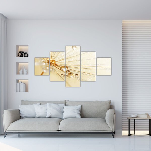 Obraz - Makro fotografie pampelišky (125x70 cm)