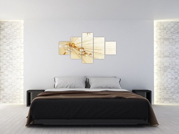 Obraz - Makro fotografie pampelišky (125x70 cm)