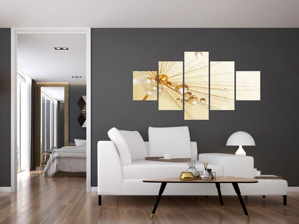 Obraz - Makro fotografie pampelišky (125x70 cm)