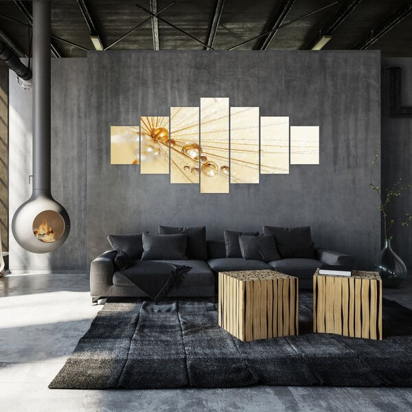 Obraz - Makro fotografie pampelišky (210x100 cm)