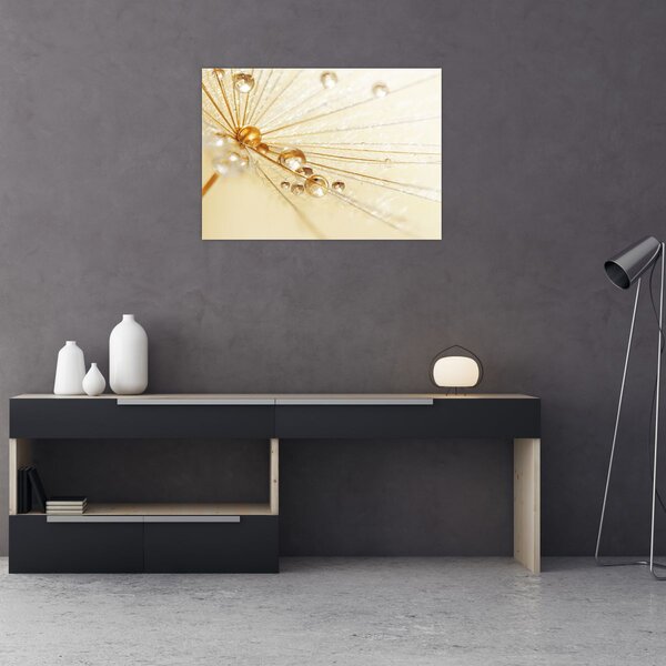 Obraz - Makro fotografie pampelišky (70x50 cm)