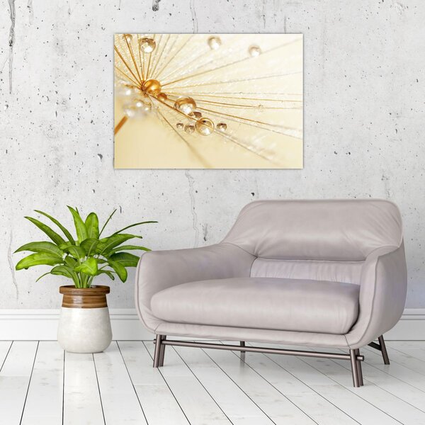 Obraz - Makro fotografie pampelišky (70x50 cm)