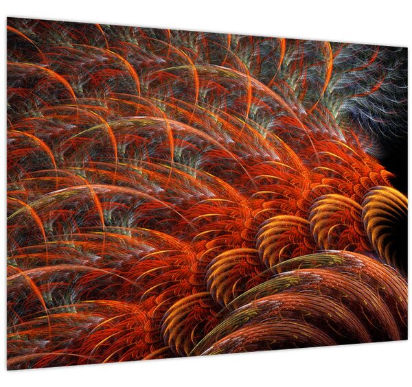 Obraz - Abstraktní imitace peří (70x50 cm)