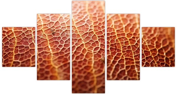 Obraz - Detail textury (125x70 cm)