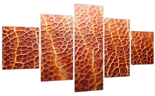 Obraz - Detail textury (125x70 cm)