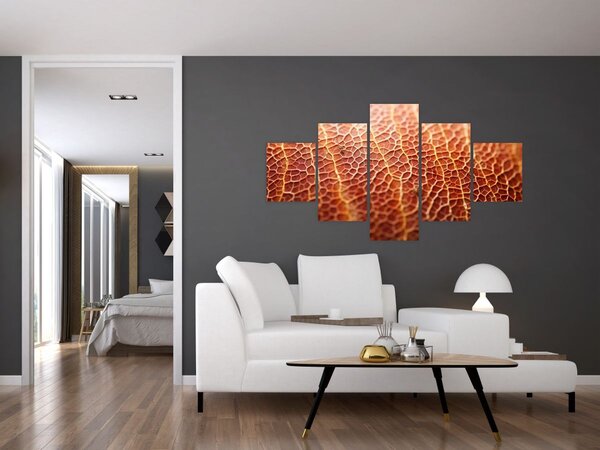Obraz - Detail textury (125x70 cm)