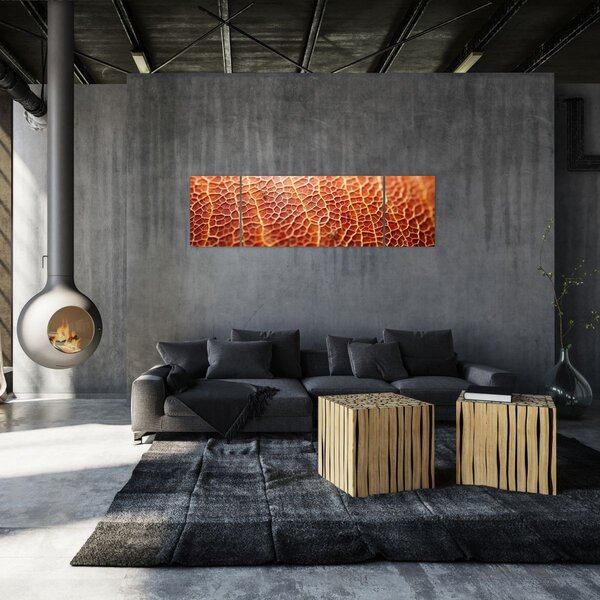 Obraz - Detail textury (170x50 cm)