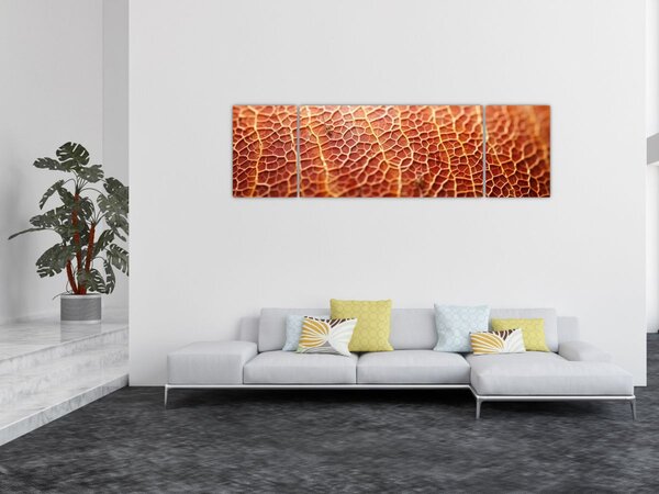 Obraz - Detail textury (170x50 cm)