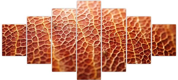 Obraz - Detail textury (210x100 cm)